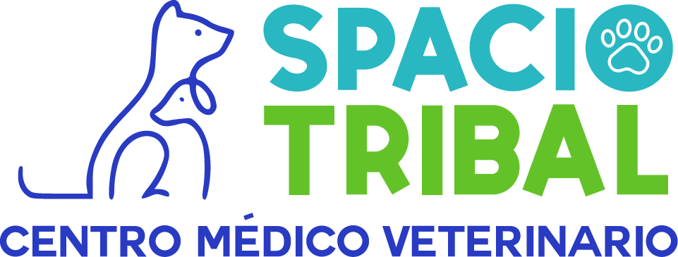 Logotipo Color_Spacio Tribal-1